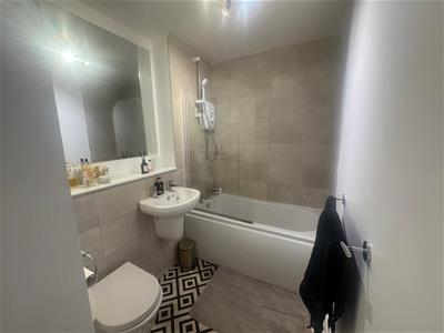 Picture 7